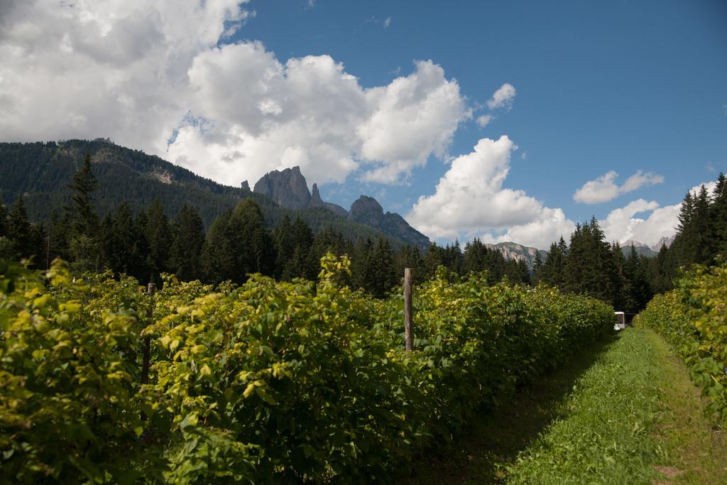 Agriturismo Soreie - Farmstay Vigo di Fassa Bagian luar foto
